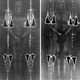 Illustration for article titled How to Make Your Own Shroud of Turin